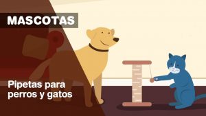 pipetas para gatos perros mercadona