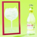 Gordon's sin alcohol en Supermercados: Gin Tonic sin Alcohol